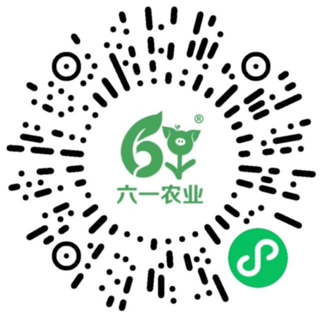 6·1臻肉 微信小程序码