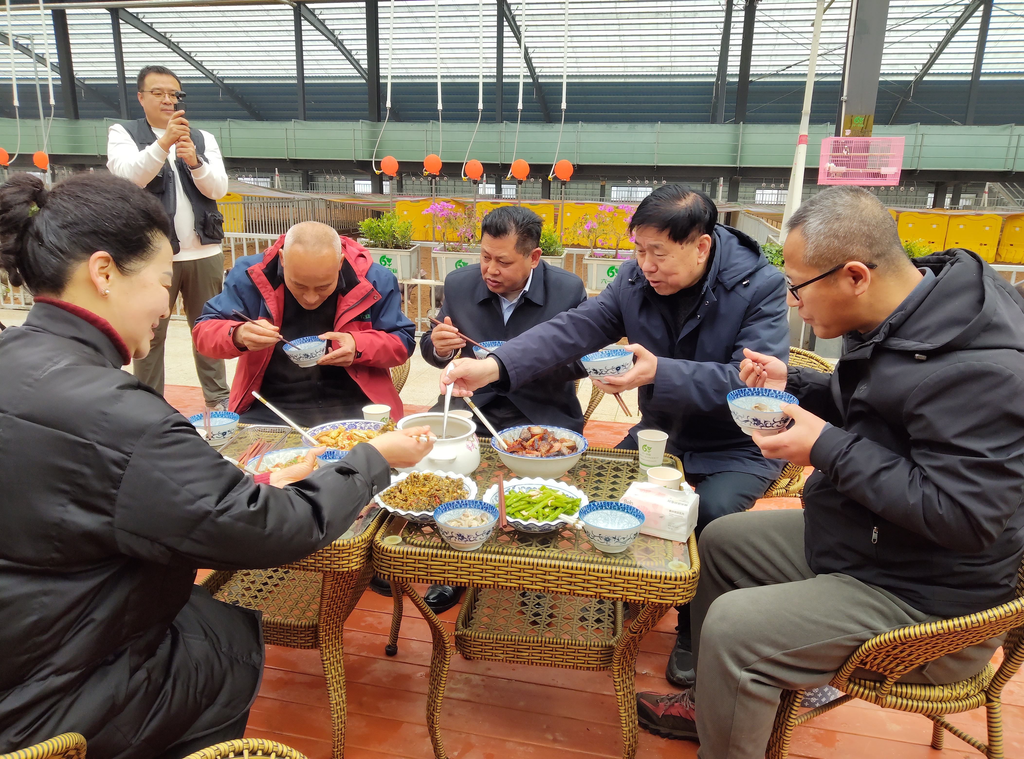 在猪舍现场品茶用餐